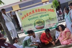 Plantation Drive