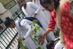 Plantation Drive