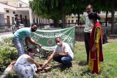 Plantation Drive