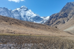 adi-kailash-3