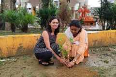 Tree Plantation Campaign