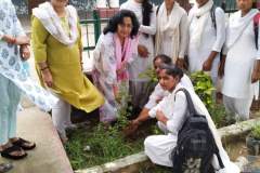 Tree Plantation Campaign